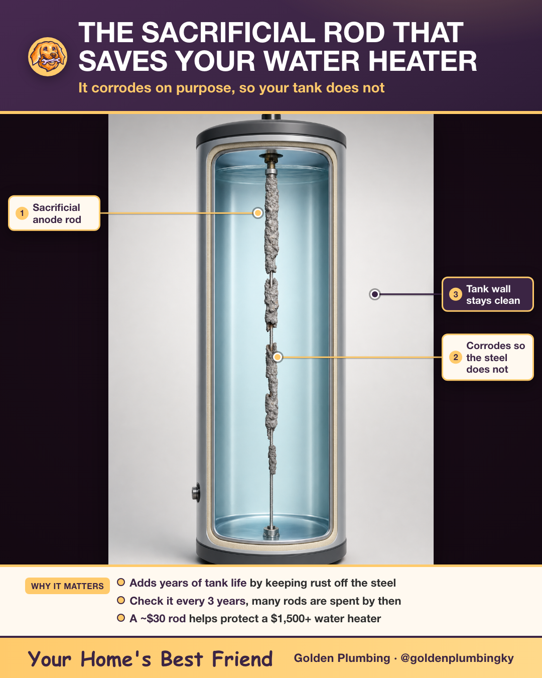 Cutaway of a water heater tank showing the sacrificial anode rod corroding so the steel tank wall stays clean